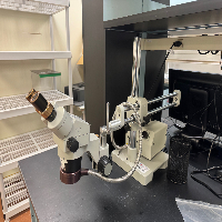 Luxo Stereo Microscope image 0